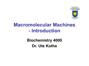 Macromolecular Machines - Introduction Biochemistry 4000 Dr. Ute Kothe