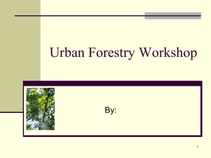 Urban Forestry Workshop By: 1