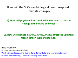 How will the S. Ocean biological pump respond to climate change?