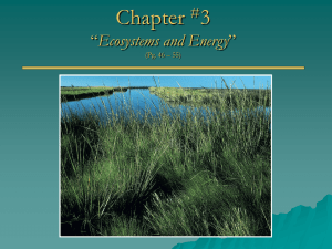 Chapter 3 Ecosystems and Energy #