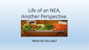 Life of an NEA, Another Perspective. What Do You See?