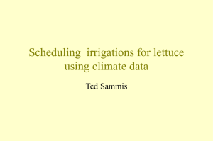 Scheduling  irrigations for lettuce using climate data Ted Sammis