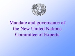 Mandate and governance of the New United Nations Committee of Experts 1