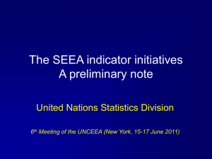 The SEEA indicator initiatives A preliminary note United Nations Statistics Division 6