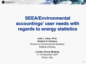 SEEA/Environmental accountings’ user needs with regards to energy statistics Julie L. Hass, Ph.D.