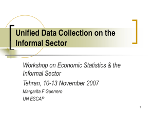 Unified Data Collection on the Informal Sector Tehran, 10-13 November 2007