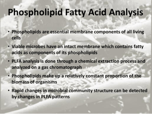 Phospholipid Fatty Acid Analysis