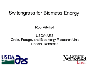 Switchgrass for Biomass Energy Rob Mitchell USDA-ARS Grain, Forage, and Bioenergy Research Unit