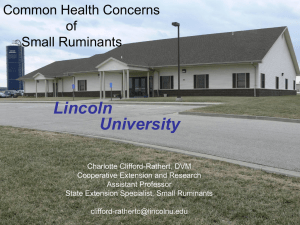 Lincoln University Common Health Concerns of