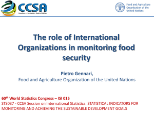 The role of International Organizations in monitoring food security Pietro Gennari,
