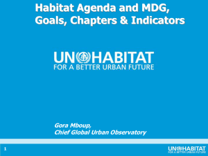 Habitat Agenda and MDG, Goals, Chapters &amp; Indicators Gora Mboup,