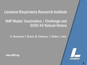 Lovelace Respiratory Research Institute NHP Model: Vaccination / Challenge and