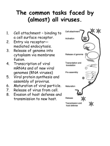 The common tasks faced by (almost) all viruses.