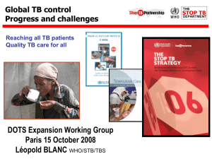 DOTS Expansion Working Group Paris 15 October 2008 Léopold BLANC Global TB control