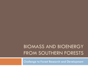 BIOMASS AND BIOENERGY FROM SOUTHERN FORESTS Challenge to Forest Research and Development
