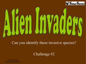 Can you identify these invasive species? Challenge #2 T. Trimpe 2008