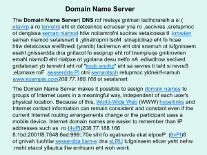 Domain Name Server