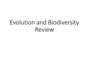Evolution and Biodiversity Review
