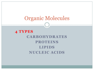 Organic Molecules 4 TYPES CARBOHYDRATES PROTEINS