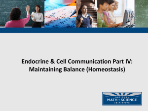 Endocrine &amp; Cell Communication Part IV: Maintaining Balance (Homeostasis)