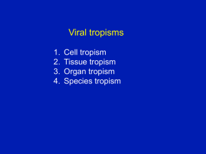 Viral tropisms 1. Cell tropism 2. Tissue tropism 3. Organ tropism