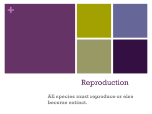+ Reproduction All species must reproduce or else become extinct.