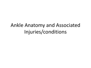 Ankle Anatomy and Associated Injuries/conditions