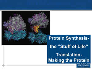 Protein Synthesis- ”Stuff of Life“ the Translation-