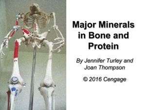 Major Minerals in Bone and Protein By Jennifer Turley and