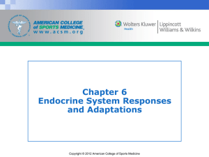 Chapter 6 Endocrine System Responses and Adaptations