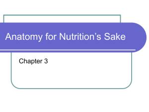 Anatomy for Nutrition’s Sake Chapter 3