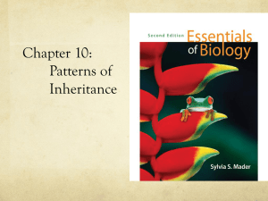 Chapter 10: Patterns of Inheritance