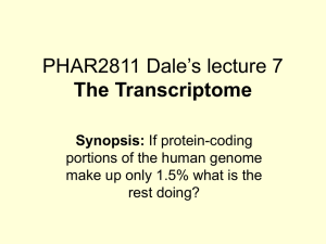 PHAR2811 Dale’s lecture 7 The Transcriptome Synopsis: portions of the human genome