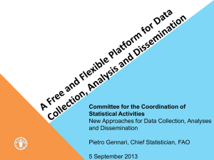 Committee for the Coordination of Statistical Activities and Dissemination