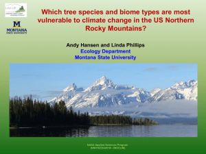 Which tree species and biome types are most Rocky Mountains?