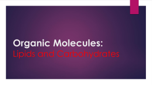Organic Molecules: Lipids and Carbohydrates