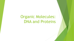 Organic Molecules: DNA and Proteins