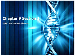 Chapter 9 Section 1 DNA: The Genetic Material