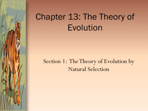 Chapter 13: The Theory of Evolution Natural Selection