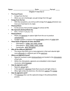 Name: _____________________ Date: __________ Period: ____ Chapter 5 Section 2 Photosynthesis •