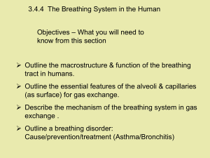 3.4.4  The Breathing System in the Human Objectives