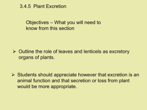 3.4.5  Plant Excretion – What you will need to Objectives