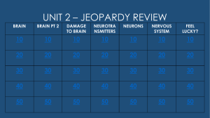 UNIT 2 – JEOPARDY REVIEW 10 20 30