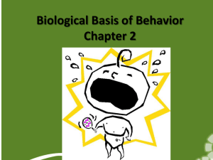 Biological Basis of Behavior Chapter 2
