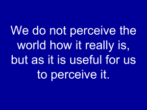 We do not perceive the world how it really is,