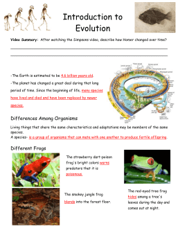 Evolution Vocabulary Answer Key