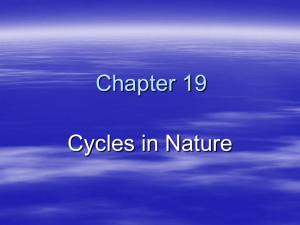 Chapter 19 Cycles in Nature