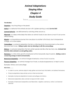 Animal Adaptations Staying Alive Chapter 4 Study Guide