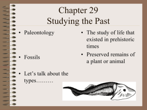Chapter 29 Studying the Past
