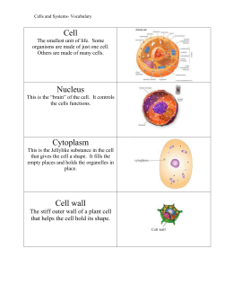 Prokaryotic cells nucleus image